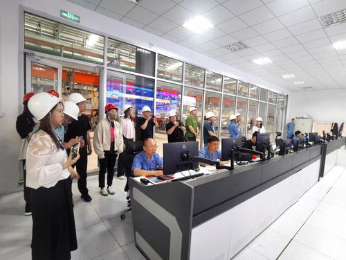 技術驅動、智造升級 德城區百億級綠色建材產業新紀元的崛起與賦能